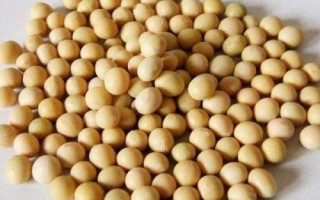 佳豆32大豆品種的特性，選擇中等肥力地塊種植
