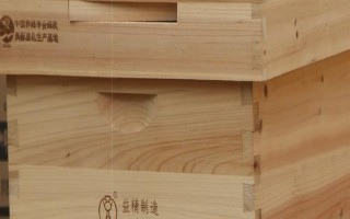 中蜂箱能放幾框合適，標準箱能容納10個巢框