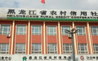 農(nóng)村合作社盈利靠什么，是靠農(nóng)民的勞動(dòng)聯(lián)合