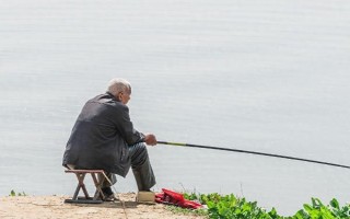 雞肝能不能釣魚，雞肝能釣魚