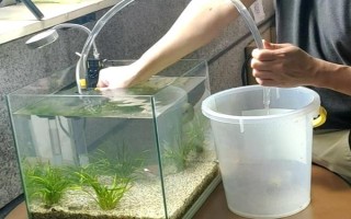 熱帶魚能放生河里嗎，熱帶魚不可以放生河里