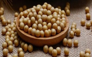 龍達(dá)157大豆種子特點(diǎn)，高肥力地塊2萬株/畝