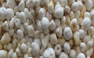 半夏的種植技術(shù)，可用塊莖、珠芽和種子繁殖