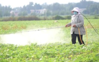 蘇子的產(chǎn)地，在我國主產(chǎn)于安徽、湖南、臺灣等省份