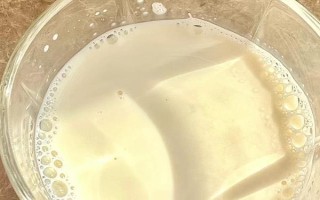 貓貓不能吃的食物，不能喂食牛奶、巧克力等