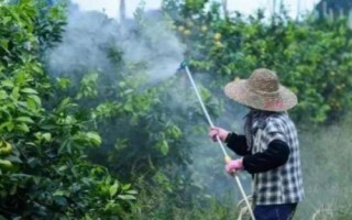 葉枯唑防治什么病害，可有效防治水稻葉枯病、條斑病等