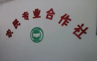 農(nóng)民專業(yè)合作社的基本特征，入社自愿、退社自由、民主選舉和民主決策等