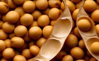 受歡迎的大豆品種有哪些，常見(jiàn)的有中黃35、中黃301等