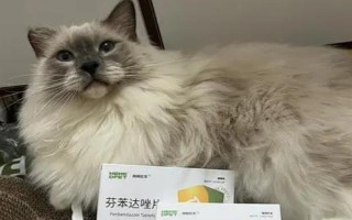 貓吃驅(qū)蟲藥吐了怎么辦，需再服用一次驅(qū)蟲藥