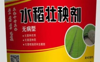 水稻壯秧劑在什么時候用，通常在秧苗移栽后使用