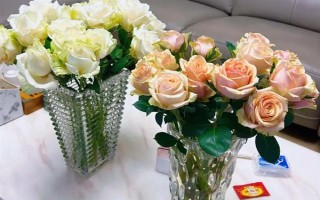 夏天怎樣讓鮮花保鮮時間長一點，將鮮花養(yǎng)護在通風陰涼的地方