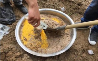 釣鯉魚如何才能避開白條鬧窩，可以使用素餌