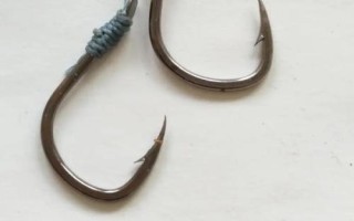 青魚怎么釣，選擇合適的釣組尤為重要