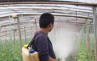 黃瓜紅粉病的防治措施，要注意合理密植