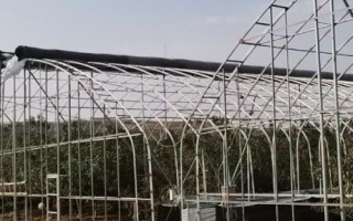 鋼管大棚骨架，分為橢圓管、方管、幾字鋼等