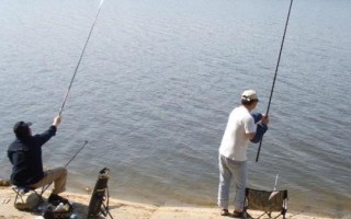 初春野釣鯽魚的技巧，打窩時窩料首選酒米