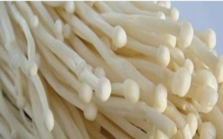 金針菇基腐病怎么防治，發(fā)現(xiàn)病菇要立即清除