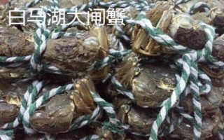 江蘇省金湖縣的特產(chǎn)，白馬湖大閘蟹遠(yuǎn)銷四方