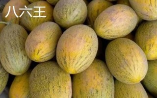 新疆阿勒泰地區(qū)的特產(chǎn)，喀納斯蜜瓜被譽(yù)為“阿山一絕”