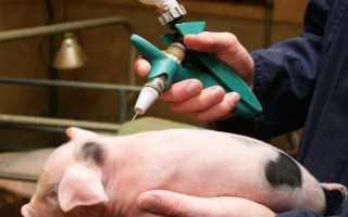 一公斤的豬打多少青霉素，用量多為5萬(wàn)單位