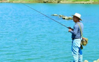 秋季能釣鯽魚(yú)嗎，初秋釣鯽魚(yú)效果不錯(cuò)