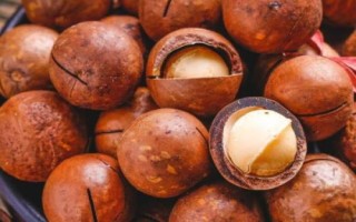 夏威夷果的主要價(jià)值，以食用為主是世界上最好的桌上堅(jiān)果之一