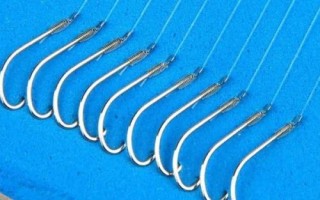 1號(hào)秋田狐魚鉤能釣多大的魚，1兩以內(nèi)的魚不在話下