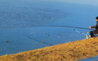 鯽魚釣幾目有明顯頓口，調(diào)四釣二、調(diào)五釣三均可觀察到明顯的頓口