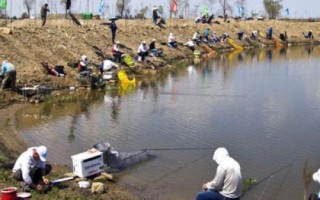 黑坑釣青魚怎么釣上魚快，要根據(jù)季節(jié)選擇出釣時(shí)間
