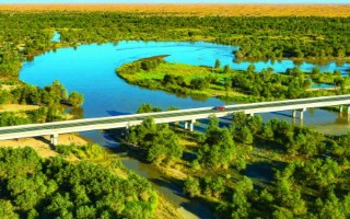 土地沙漠化如何防治，可防風(fēng)固沙、植物治理等