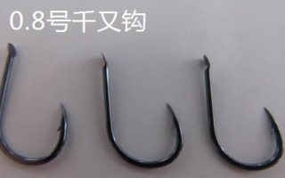 千又鉤和伊豆鉤的區(qū)別，千又鉤的鉤尖呈鷹嘴狀