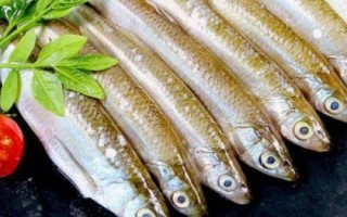 溪流釣用什么釣竿，一般用溪流竿