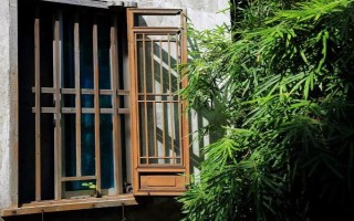竹子的寓意，象征著自強(qiáng)不息精神的人