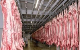 開辦屠宰場需辦理的手續(xù)，包括屠宰許可證、排污許可證及動物防疫條件許可證等