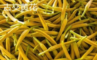 山西省神池縣的特產(chǎn)，包括神池黑豆、神池黍子、神池羊肉等種類