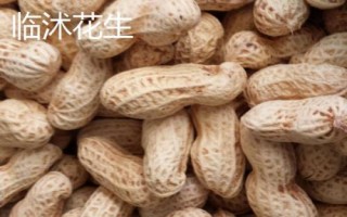 山東省金鄉(xiāng)縣的特產(chǎn)，胡集白梨瓜走俏全國(guó)