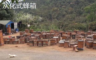 中蜂箱能放幾框合適，標準箱能容納10個巢框