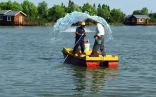 對蝦出現(xiàn)大面積偷死的原因，主要原因是有弧菌感染
