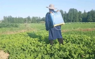 蘇子的產(chǎn)地，在我國主產(chǎn)于安徽、湖南、臺灣等省份