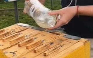 冬天如何對(duì)蜜蜂飼喂糖水，在飼喂器中添加糖漿再放入蜂箱中即可