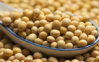 大豆品種主要有哪些，分為青大豆、黃大豆、黑大豆等