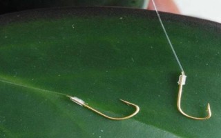 4號伊豆用多大的子線，一般用0.8號子線