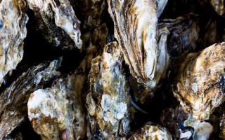 牡蠣和生蠔有什么區(qū)別，牡蠣的裙邊較清晰打開(kāi)后具有大量汁水
