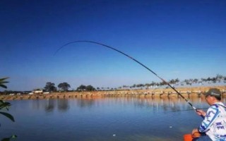 冬天釣鳊魚是釣底還是釣浮，釣底是主流