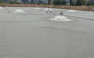 冬天開(kāi)增氧機(jī)要注意什么，為了避免水面結(jié)冰每天可開(kāi)機(jī)2次左右