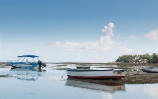塞內(nèi)加爾海域漁業(yè)資源豐富是什么原因，當(dāng)?shù)貧鉁剡m宜