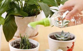 維生素c能澆哪些植物，可以澆綠蘿、茉莉花等