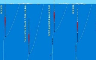 用蚯蚓釣魚時(shí)應(yīng)該如何調(diào)漂，可采用加鉛、找底、剪鉛等方式