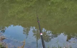 蚯蚓釣鯽魚(yú)不開(kāi)口怎么處理，一定要打好窩子