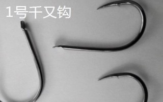 千又鉤和伊豆鉤的區(qū)別，千又鉤的鉤尖呈鷹嘴狀